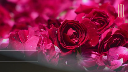 FACE TONER with ROSE & RICE WATER